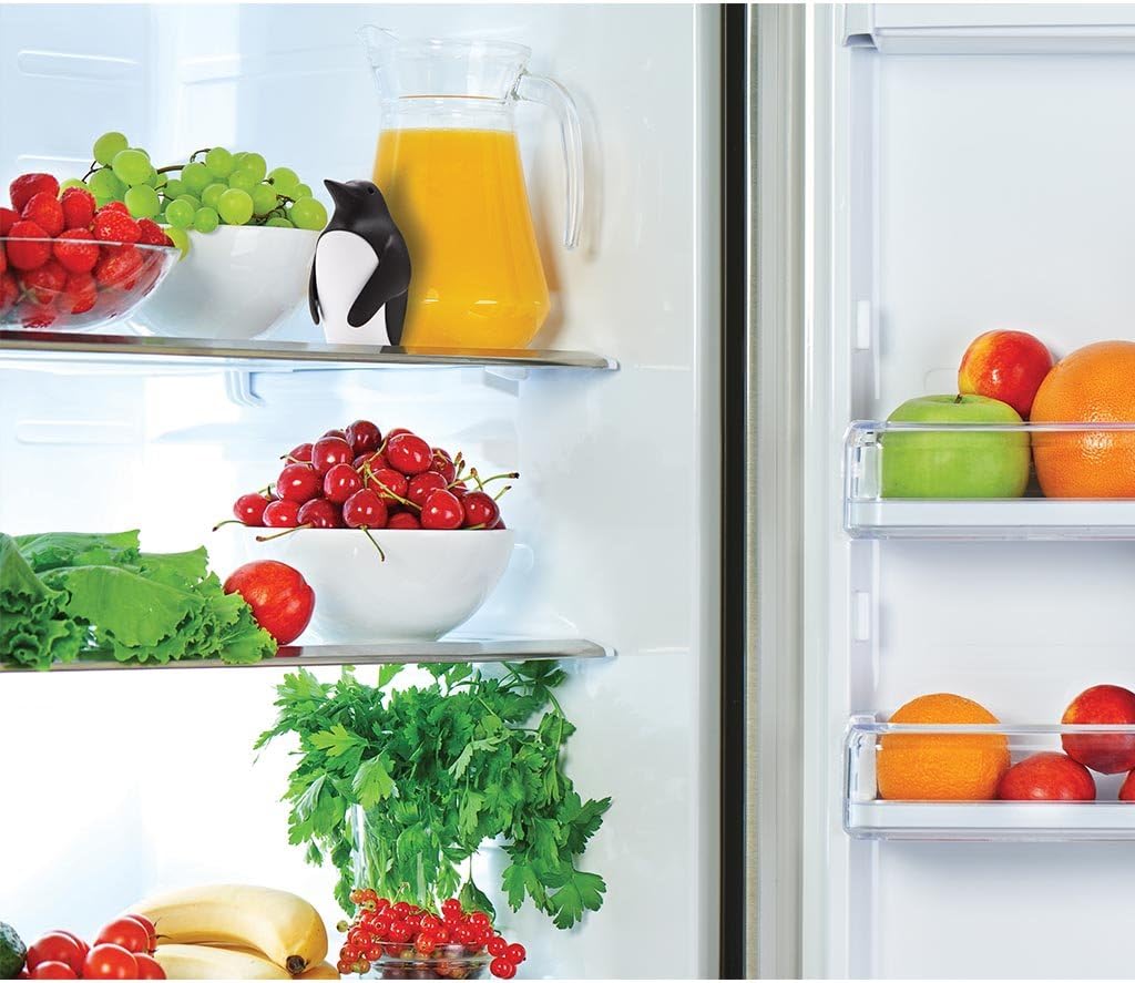 Refrigerator Deodorizer with B - đánh giá và giá Kitchen Gadgets Holder