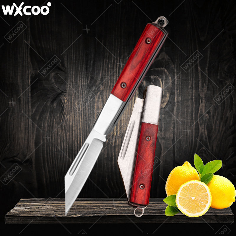Stainless Steel Pocket Knife R - đánh giá và giá Kitchen Gadgets You Need
