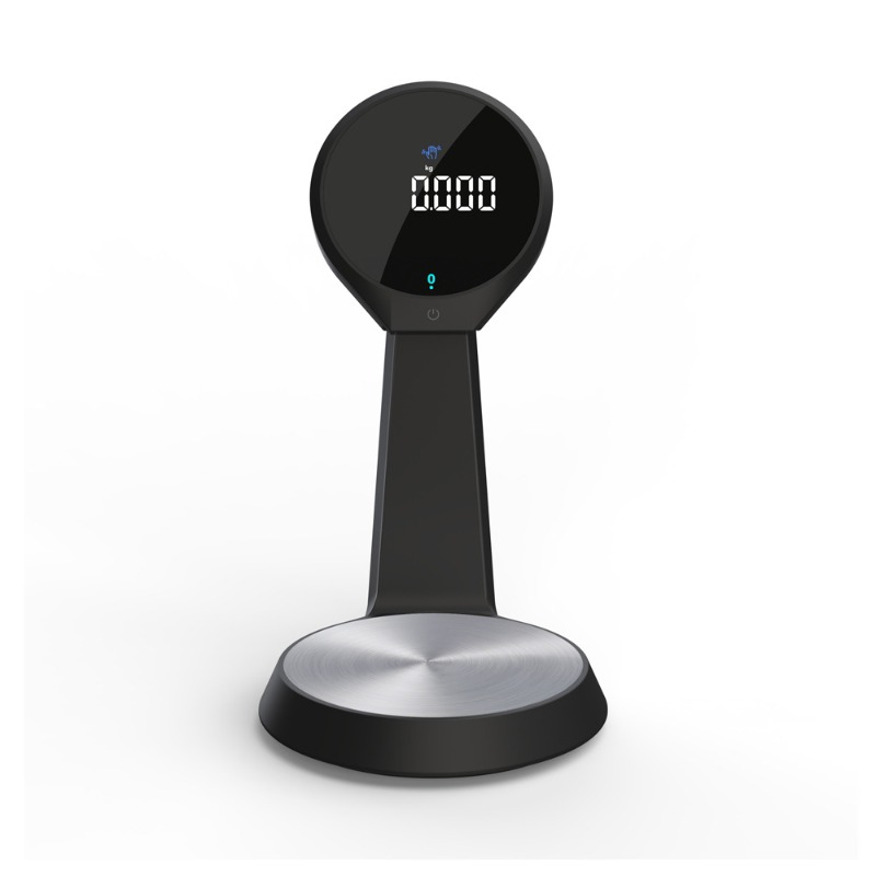 High Precision Digital Kitchen - đánh giá và giá Digital Kitchen Scale